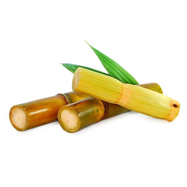 Sugarcane